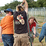 Thumbnail Photo for the The Great Errection Gallery.